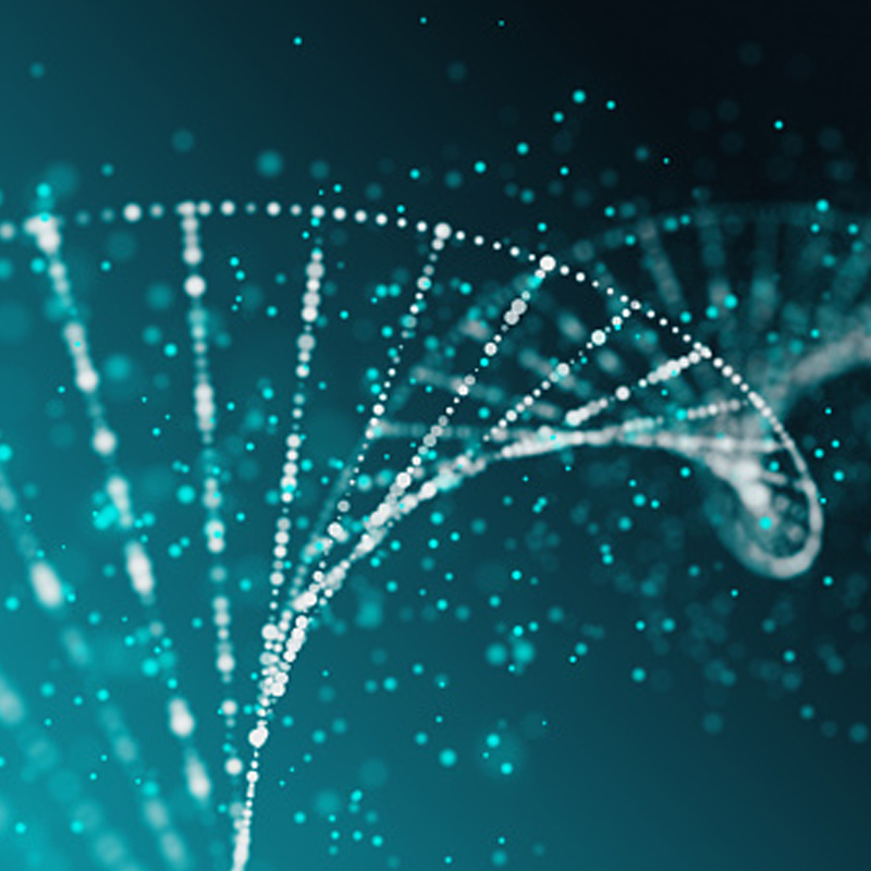 WONDROS-LANDING-PAGE-IMAGE-1